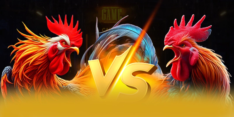 Lợi thế cạnh tranh của BET168 trong cùng phân khúc Lợi thế cạnh tranh của BET168 trong cùng phân khúc
