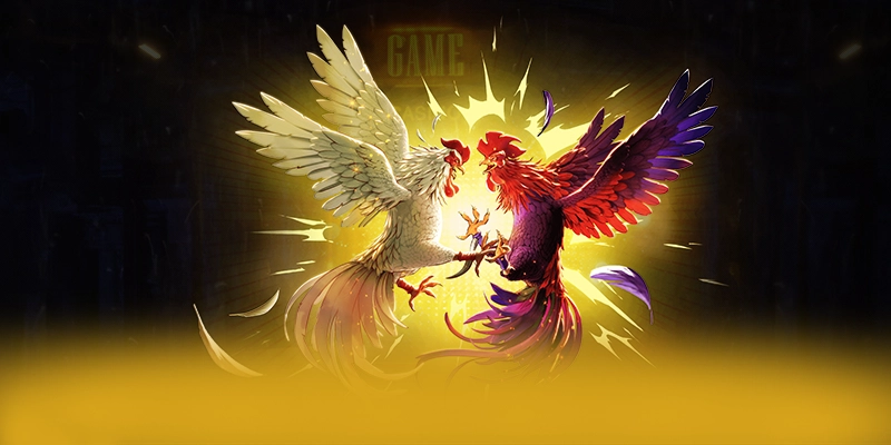 Chương trình thưởng giá trị lớn dành cho thành viên mới và cũ tại 8XBET